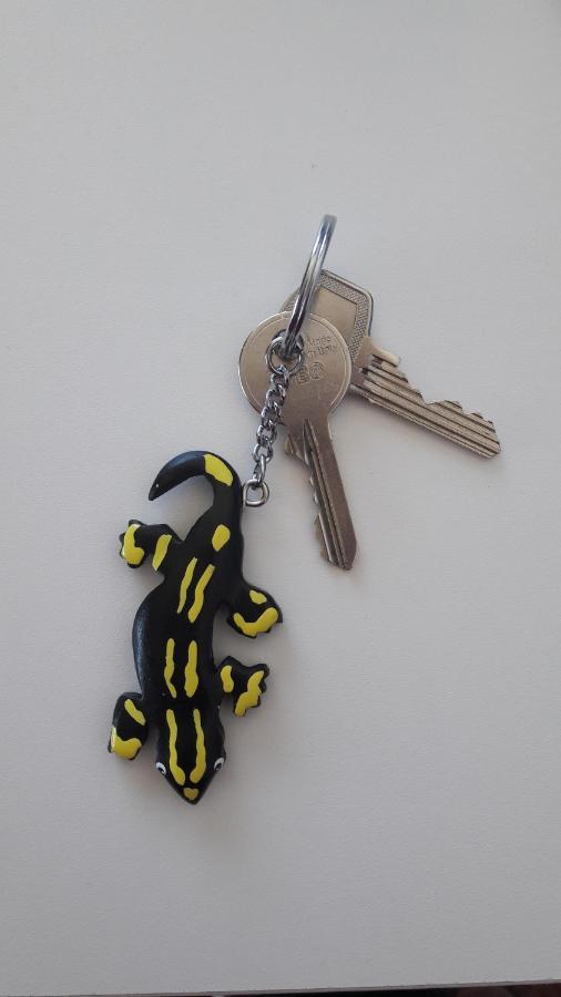 Ferienwohnung Siesta Bad Harzburg Bagian luar foto